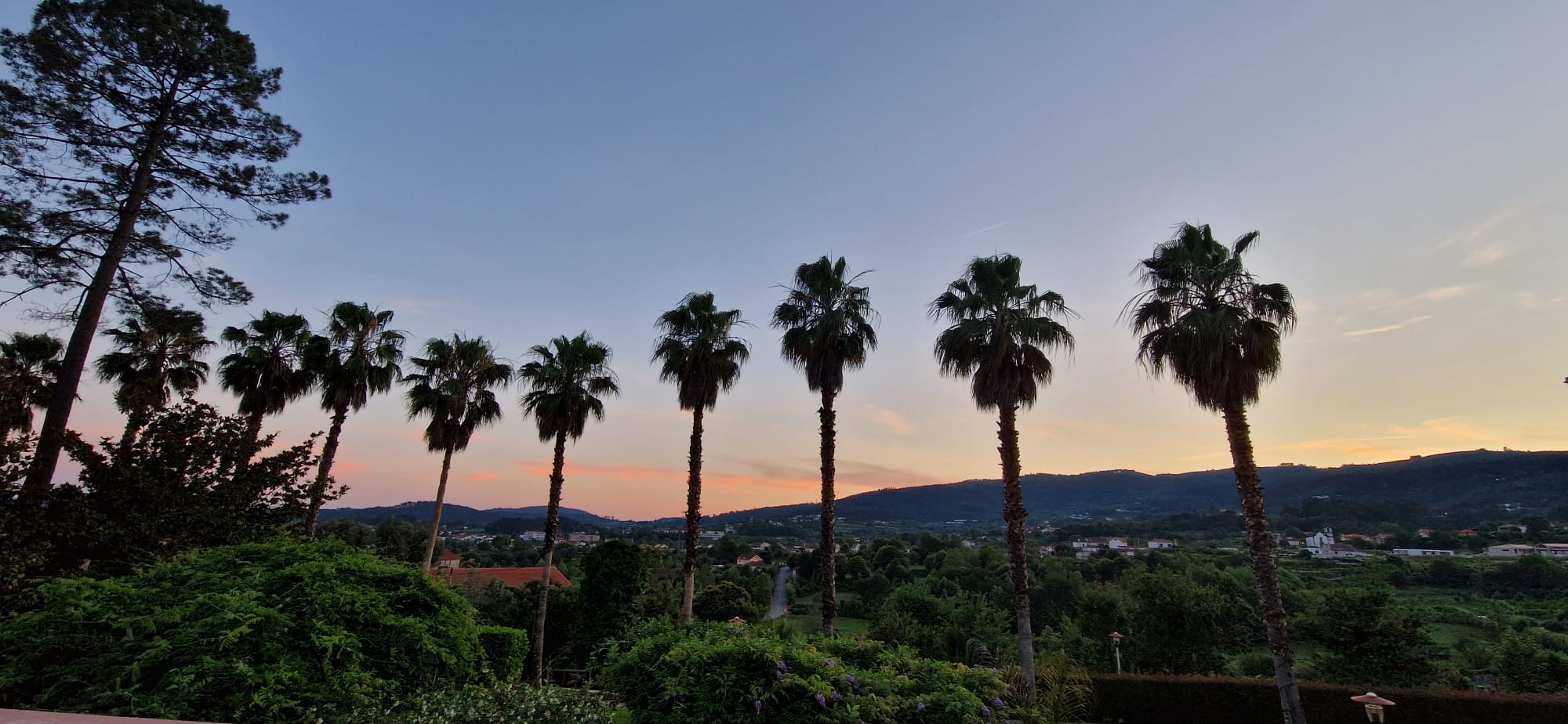 QUINTA DO PICO IMAGENS